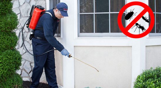 Ekinözü Dezenfeksiyon böcek ilaçlama ve haşere kontrolü — ilaclama-tr.com